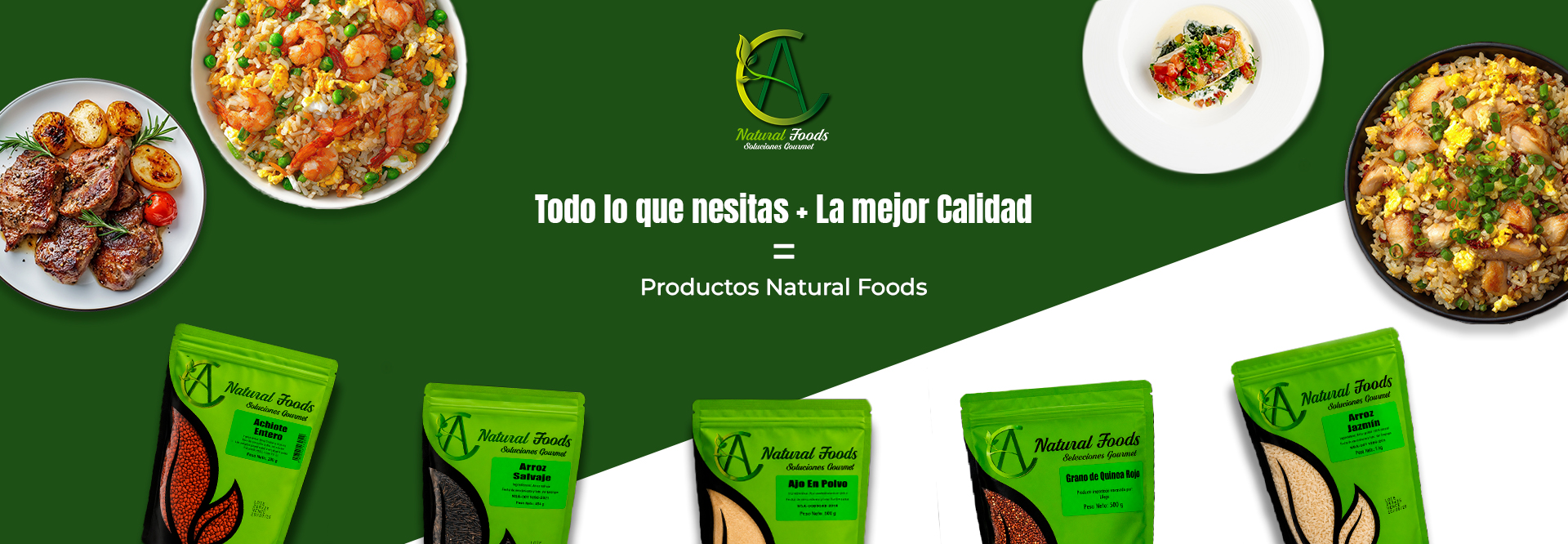 banner web
